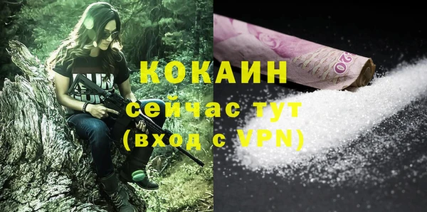 Альфа ПВП Горняк