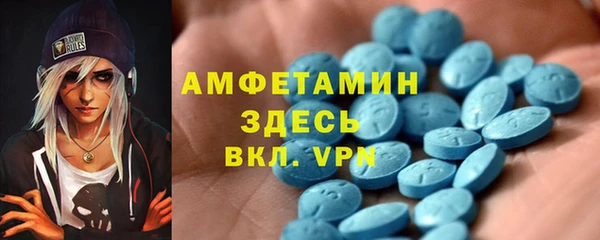 Альфа ПВП Горняк