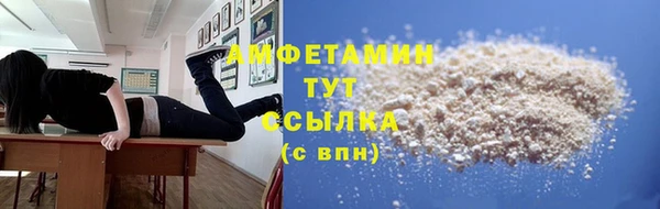 Альфа ПВП Горняк