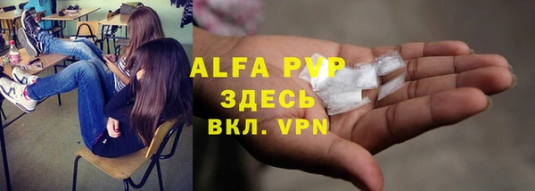 сатива Горнозаводск