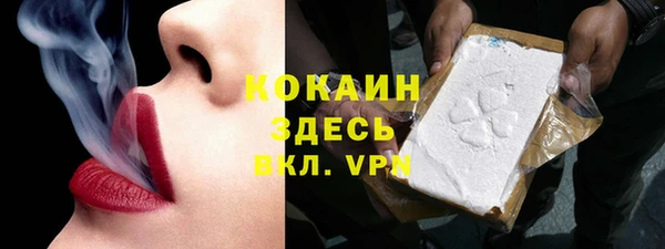 сатива Горнозаводск