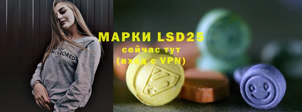 сатива Горнозаводск