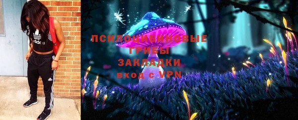 Альфа ПВП Горняк