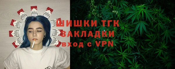 Альфа ПВП Горняк