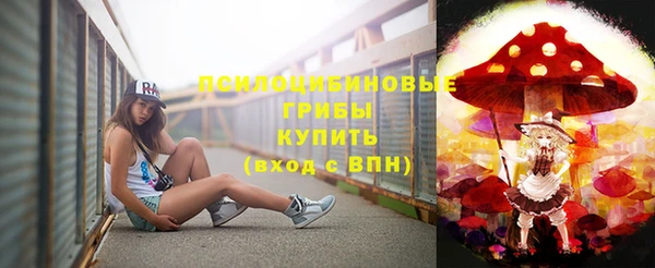 Альфа ПВП Горняк